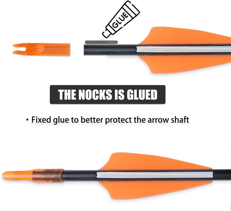 BOWSOUL 31“ Archery Arrows Training Practice Target Arrows for Kids Youth or Beginners Streamlined Points Durable Shaft on Recurve Bows Youth Bow and Longbows(Pack of 12) - Image 3